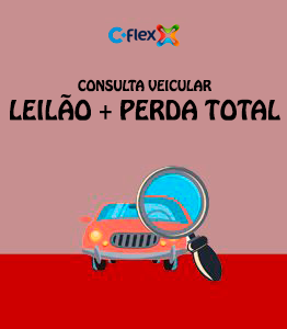Consulta Flex Auto Leilao + PT