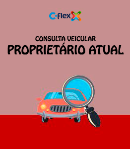 Consulta Flex Auto Proprietário Atual