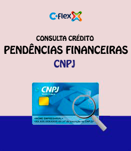 Consulta Flex Pendências Financeiras CNPJ