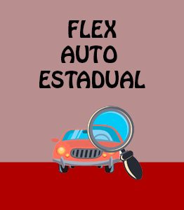 Flex Auto Estadual