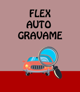 Flex Auto Gravame