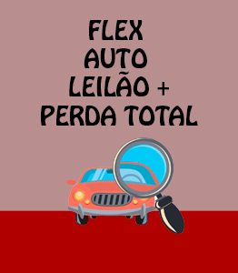 Flex Auto Leilão + PT