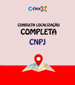 Consulta Flex Localização Completa CNPJ