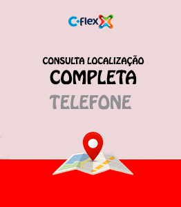 Consulta Flex Localização Completa Telefone