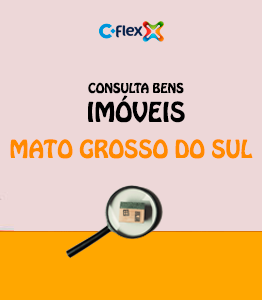 consulta bens imoveis mato grosso do sul ms