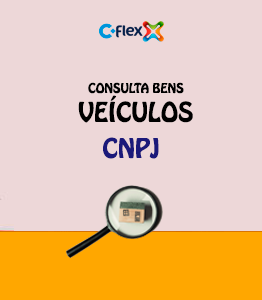 consulta veiculos pelo cnpj