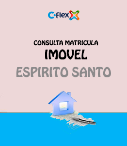 flex matricula imovel estado espirito santo es