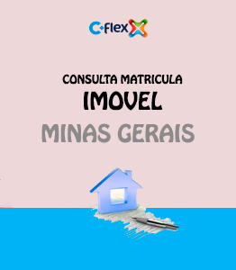 flex matricula imovel estado minas gerais mg