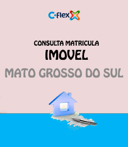 flex matricula imovel estado mato grosso do sul