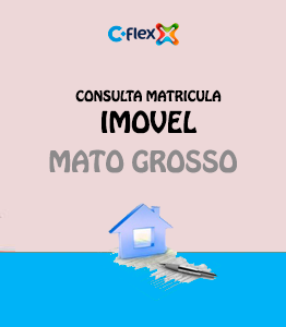 flex matricula imovel estado mato grosso