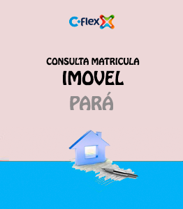 flex matricula imovel estado para pa