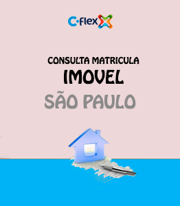 flex matricula imovel estado sao paulo sp